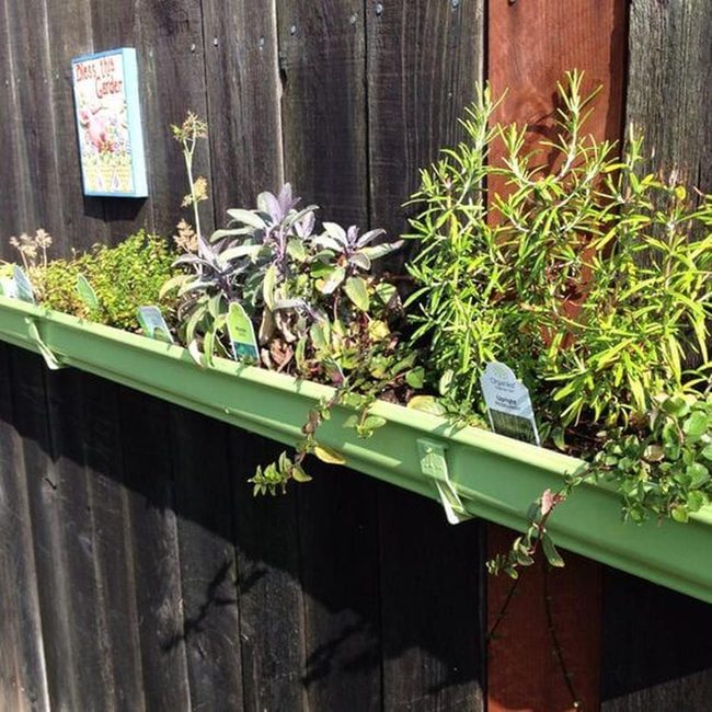 Vertical Herb Wall Garden