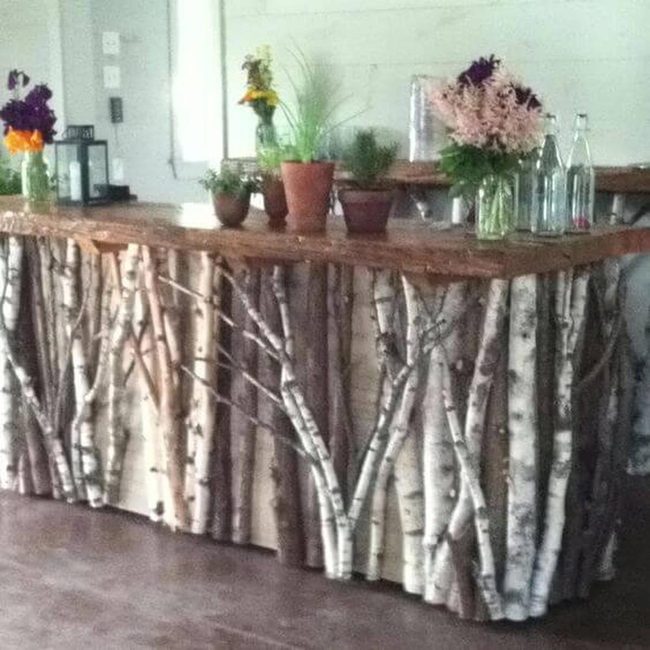 Birch Branch Bar With Living Greenery