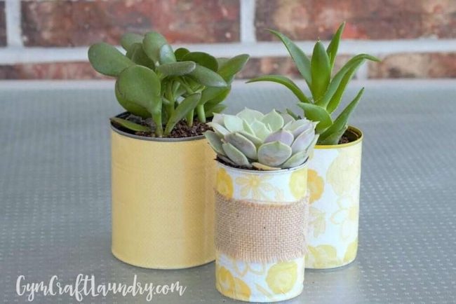 Decoupage Tin Succulents