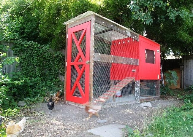 Red Wooden Chicken Coop