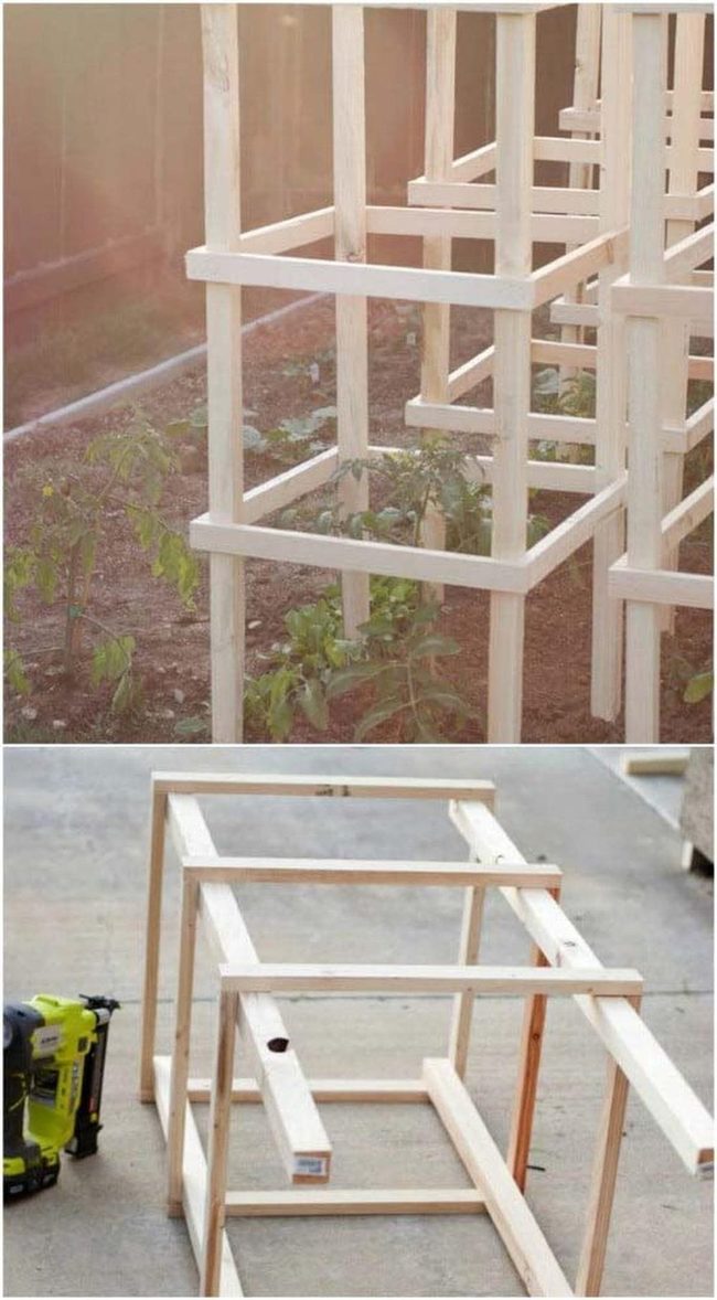 Wooden Tomato Cage Support