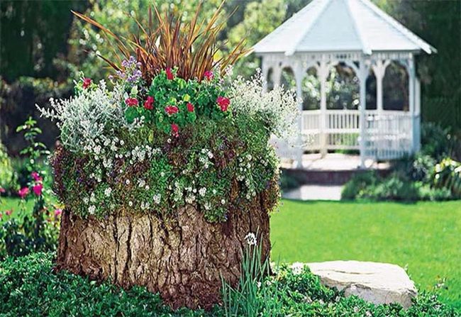 Stump Planters With Cascading Grasses