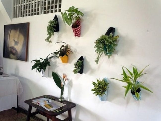 Green Wall Living Architecture