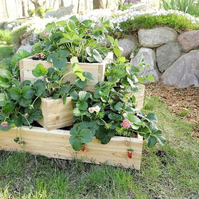 Stacked Wood Strawberry Tower