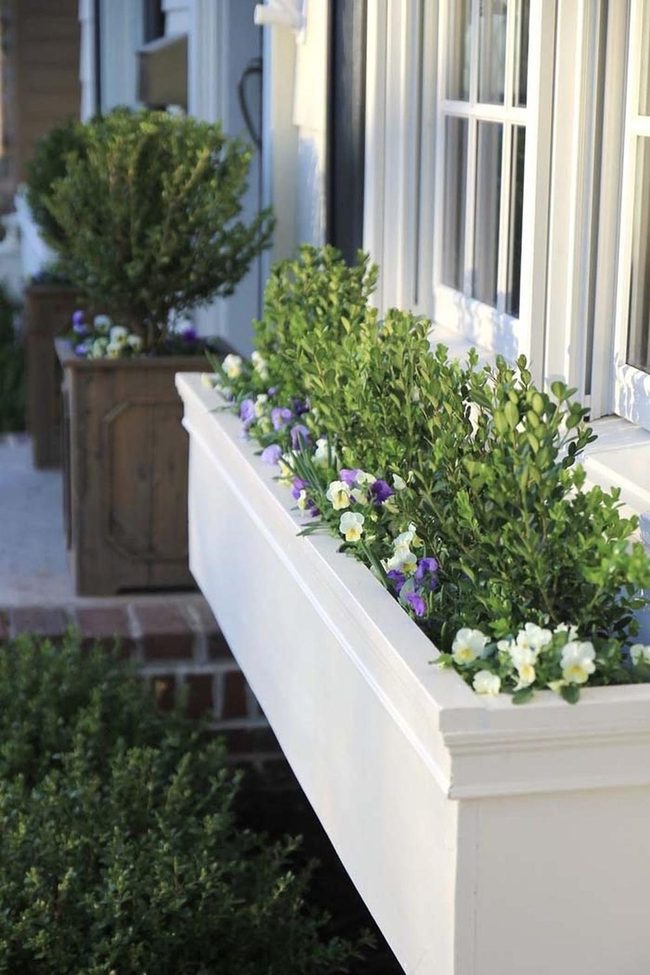 Colorful Blooms Transform Curb Appeal