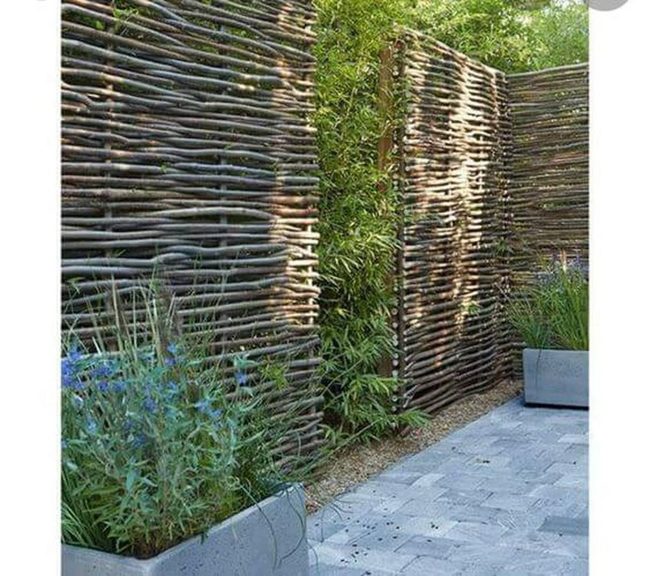 Natural Branch Privacy Screen