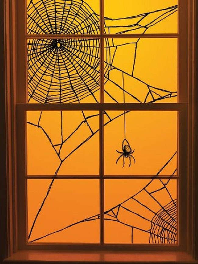 Orange-Lit Spiderwebs On Glass