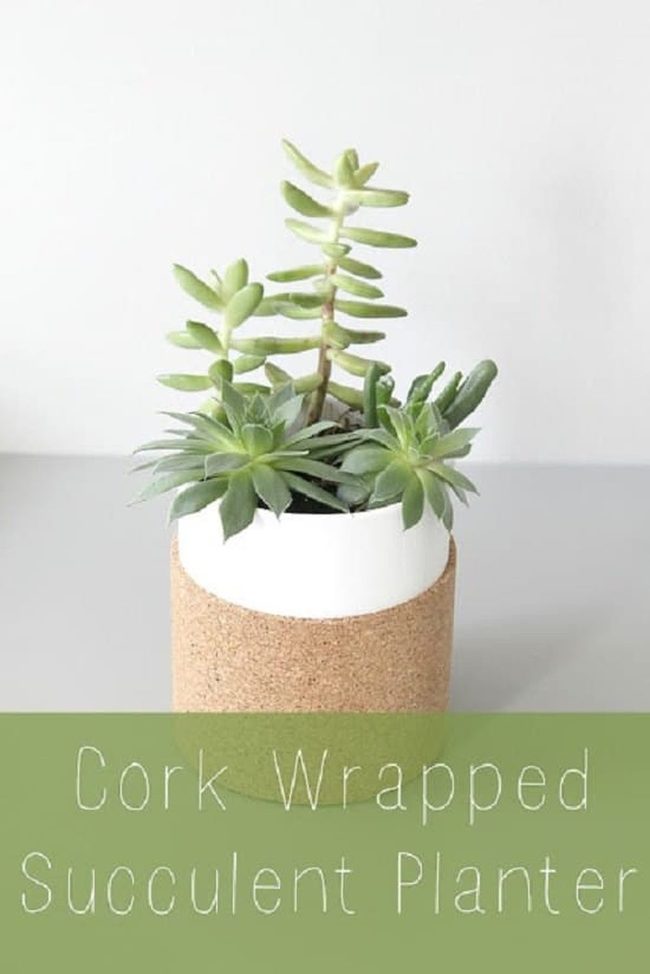 Cork-Wrapped Glass Planters