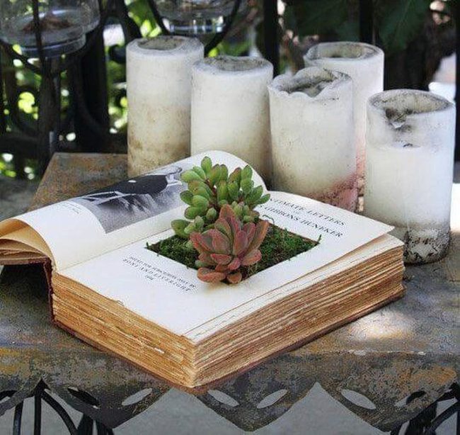 Green Pages, Living Stories
