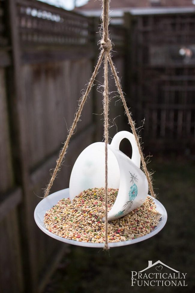 Chipped Teacup Bird Feeder