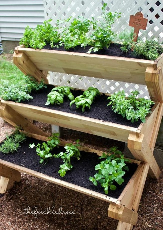 Tiered Wood Herb Garden