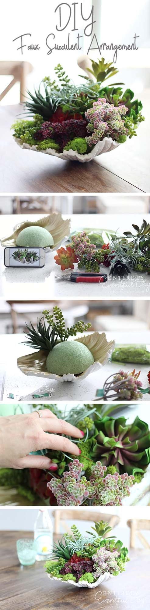 Seashell Succulent Desktop Garden