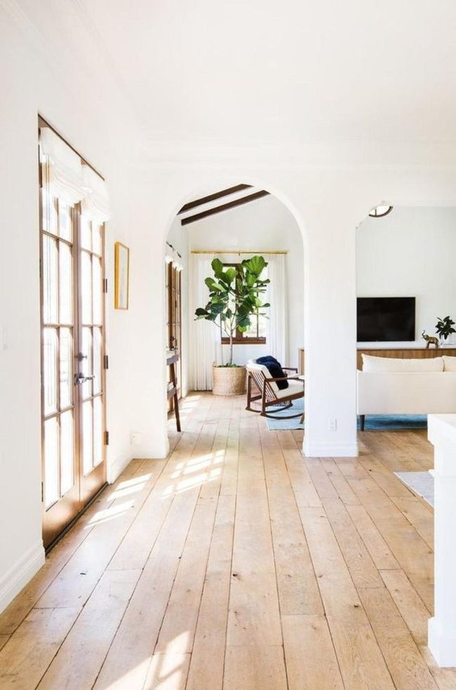 Green Plant, Dark Beam, White Walls