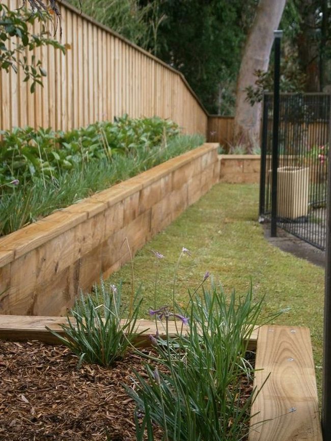 Wooden Beds, Thriving Garden