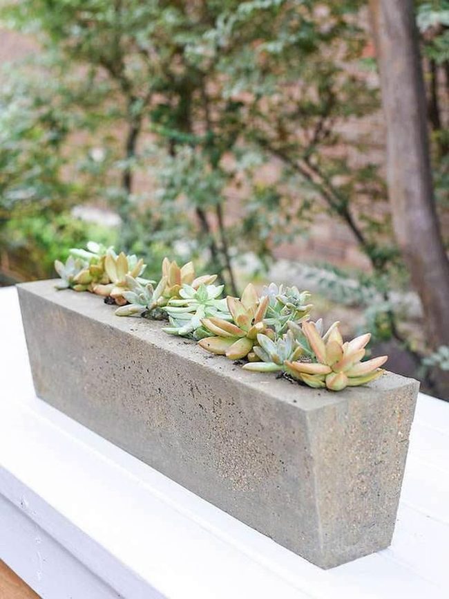 Concrete Planters Diy Sophistication