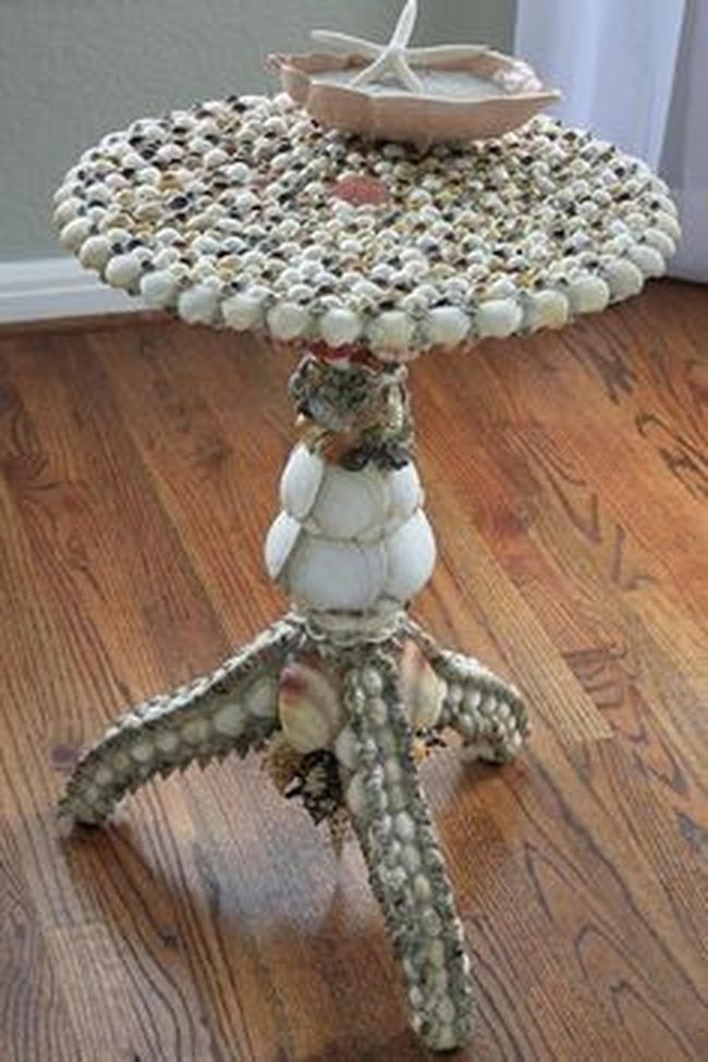 Seashell Surface Story