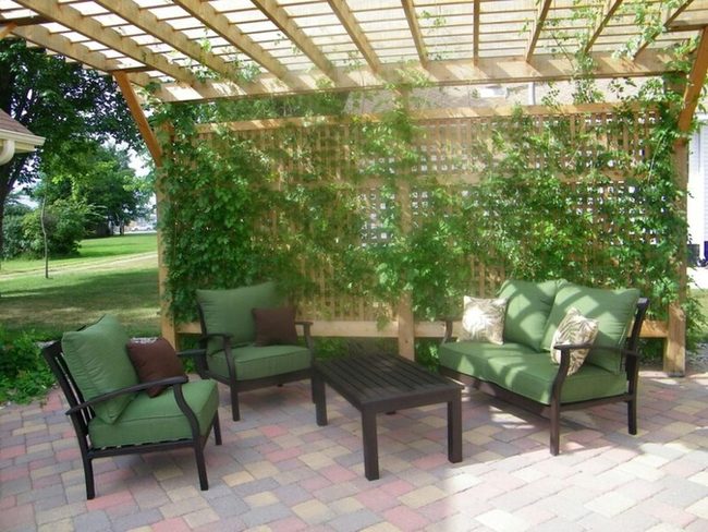 Green Vines Natural Canopy