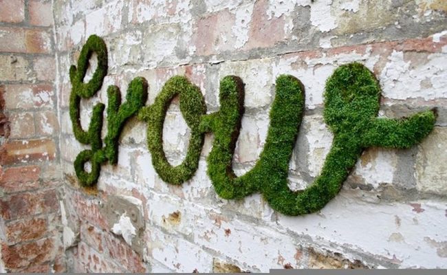 Green Moss Urban Canvas