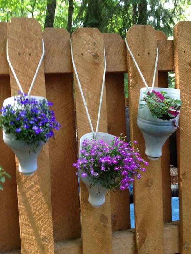 Plastic Bottles, Cascading Blooms