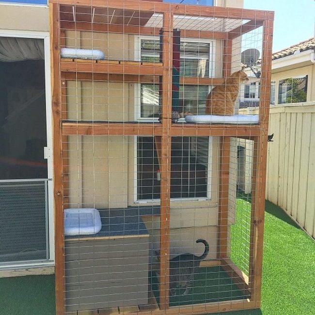 Mesh Window Perches For Cats