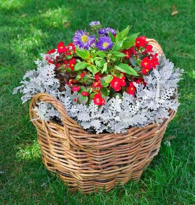 Woven Baskets Blooming Outdoors