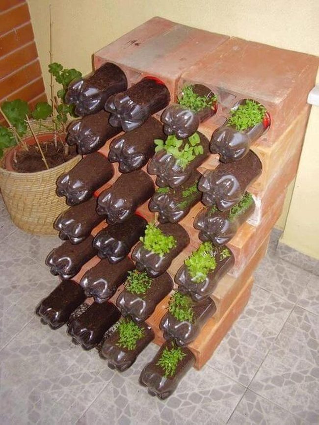 Stacked Bottle Herb Garden