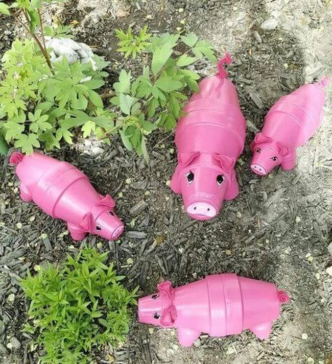 Colorful Pig Planters Garden