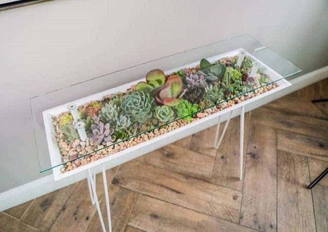 Layered Succulent Glass Gardens