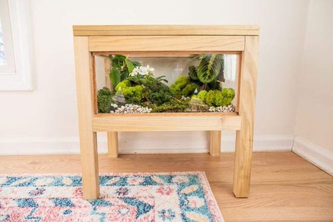 Glass-Topped Plant Display Table