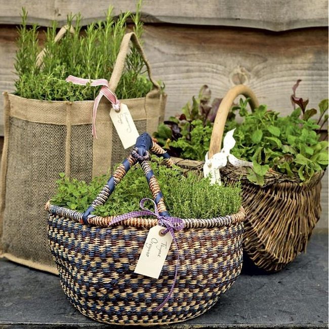 Woven Baskets With Fresh Herbs