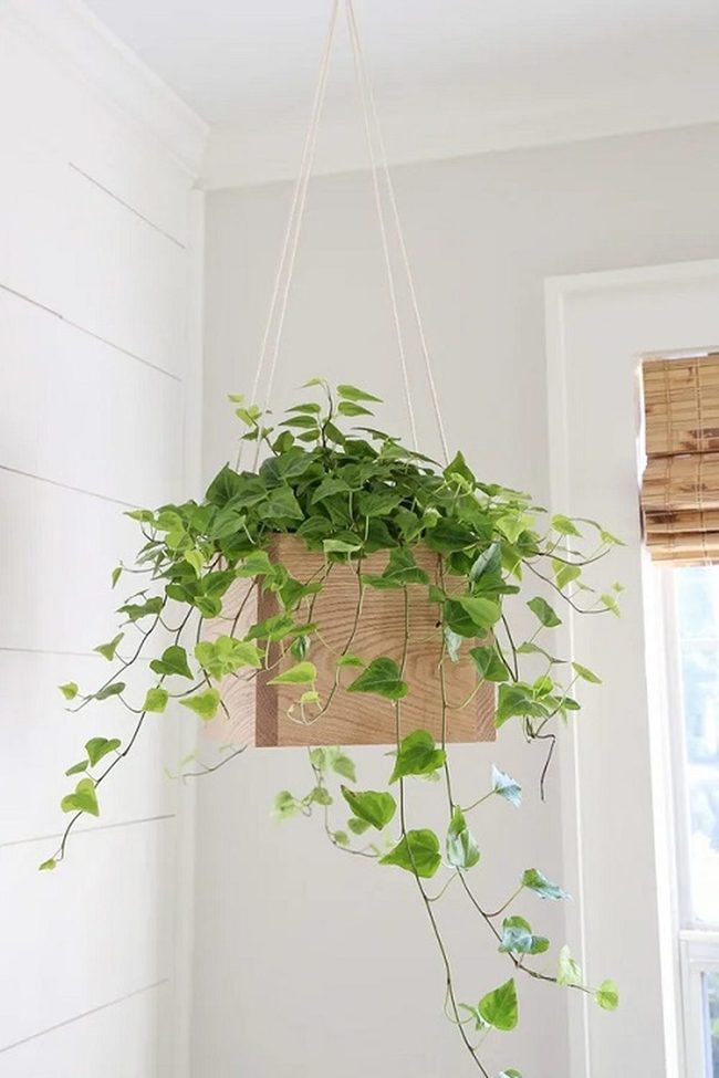 Suspended Wood Boxes Green