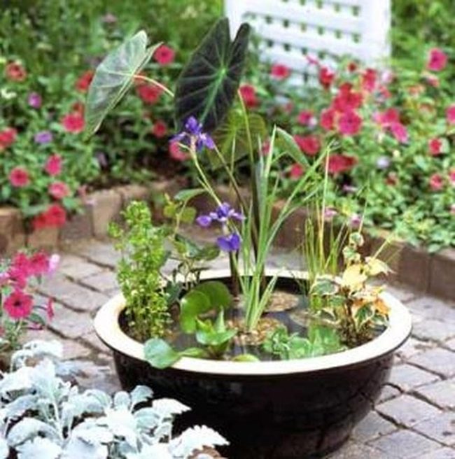 Pink Blooms, Black Pot, Stone Base