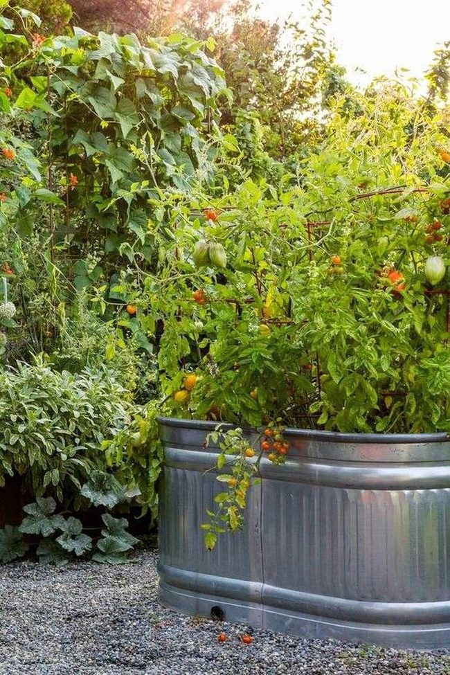 Galvanized Metal Raised Beds