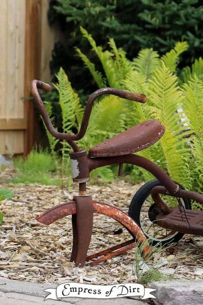 Rusted Bicycle Among Ferns