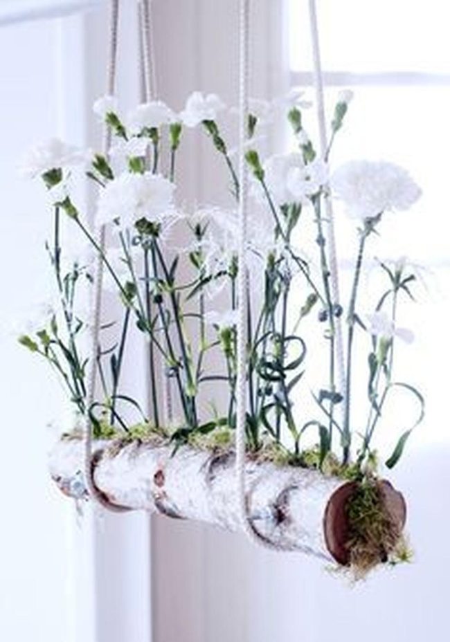 Floating Log With White Blooms