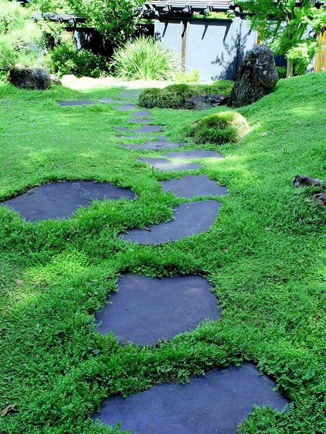Stone Path Through Green Lawn