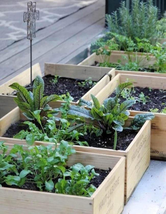 Wooden Garden Beds, Fresh Herbs