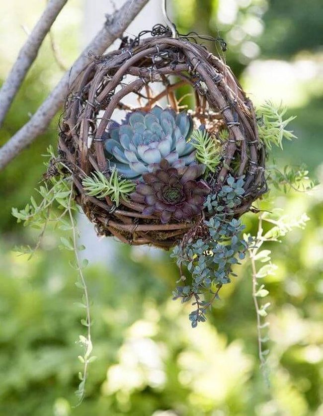 Overflowing Green Basket Garden