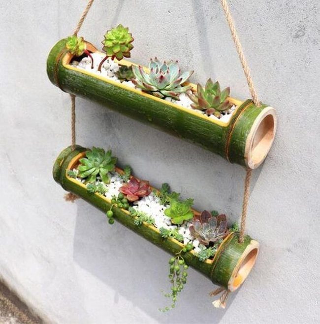 Cascading Succulents In Natural Bamboo