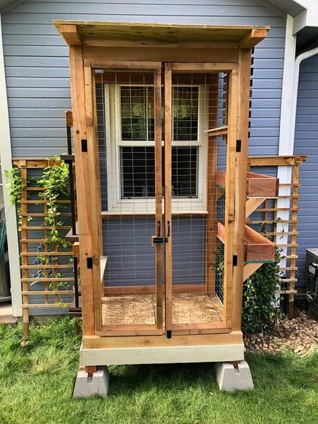 Green Vertical Paradise For Cats