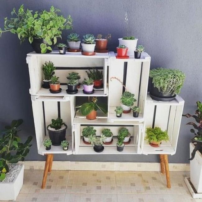 Green Plants White Crates
