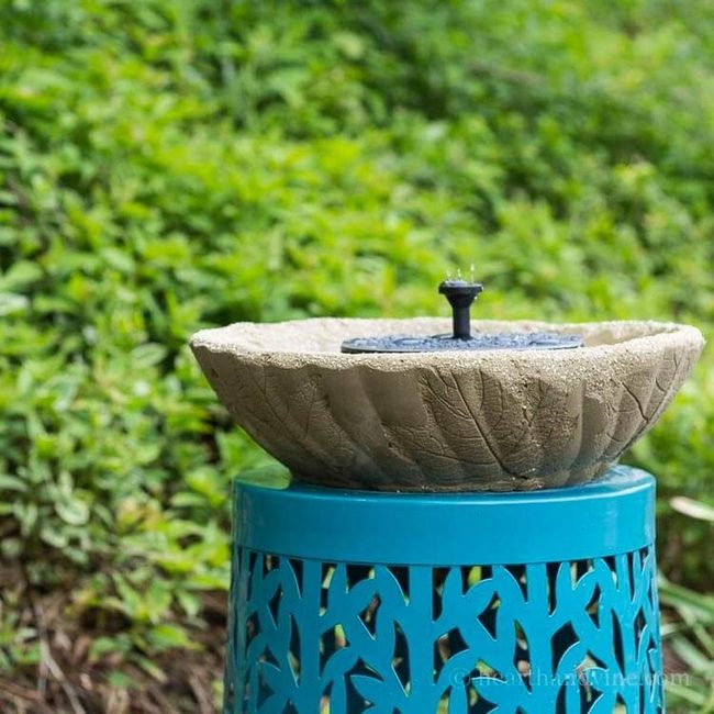 Concrete Leaf-Imprinted Water Feature