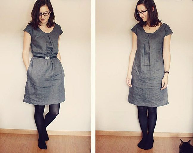 Gray Minimalism With Cat Surprise