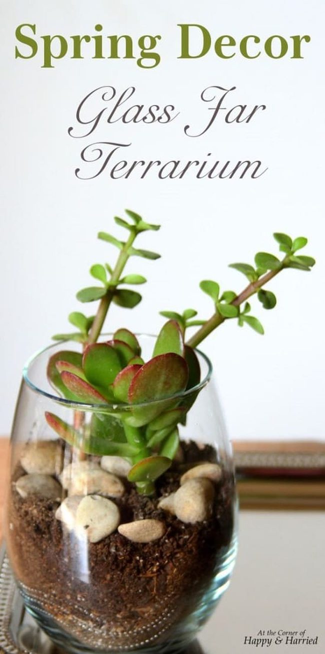 Miniature Desert Gardens In Glass