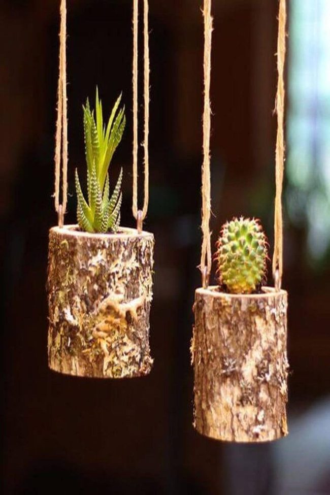 Wooden Log Succulent Hangers