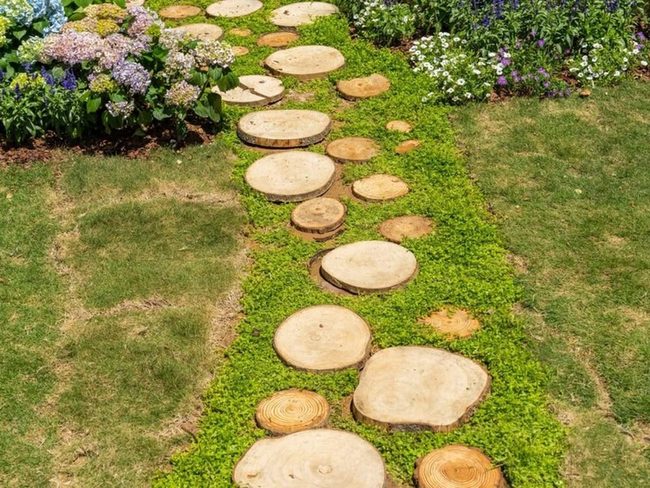 Natural Wood Slice Pathway