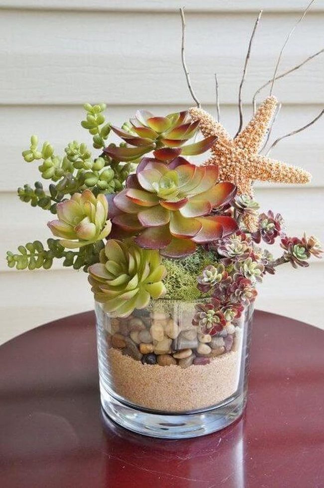 Glass Terrarium Of Layered Succulents