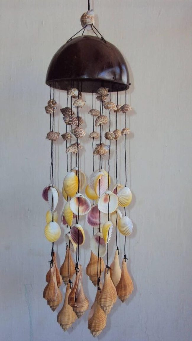 Coconut Shells Meet Hanging Seashells