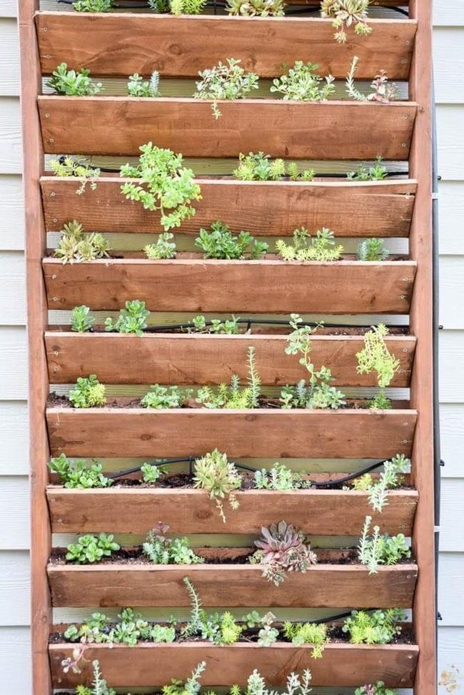 Living Wall Green Harvest