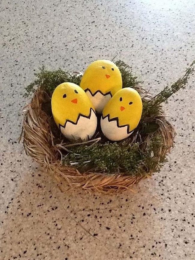 Yellow Cracked Eggs With Chicks